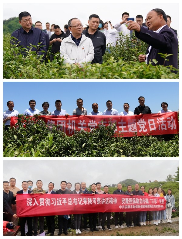 足球竞彩网
党委开展系列活动 庆祝建党99周年